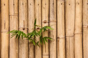 Bamboo Flooring Material