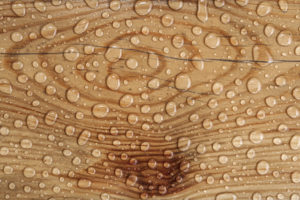 Water Damage in Your Hardwood Flooring