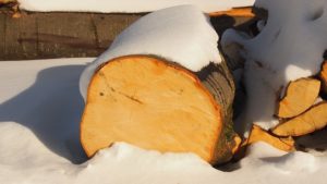 Does Winter Weather Hurt Wood Floors? 