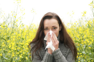 Jason Brown Wood Floors Wood Floor Maintenance for Allergy Season